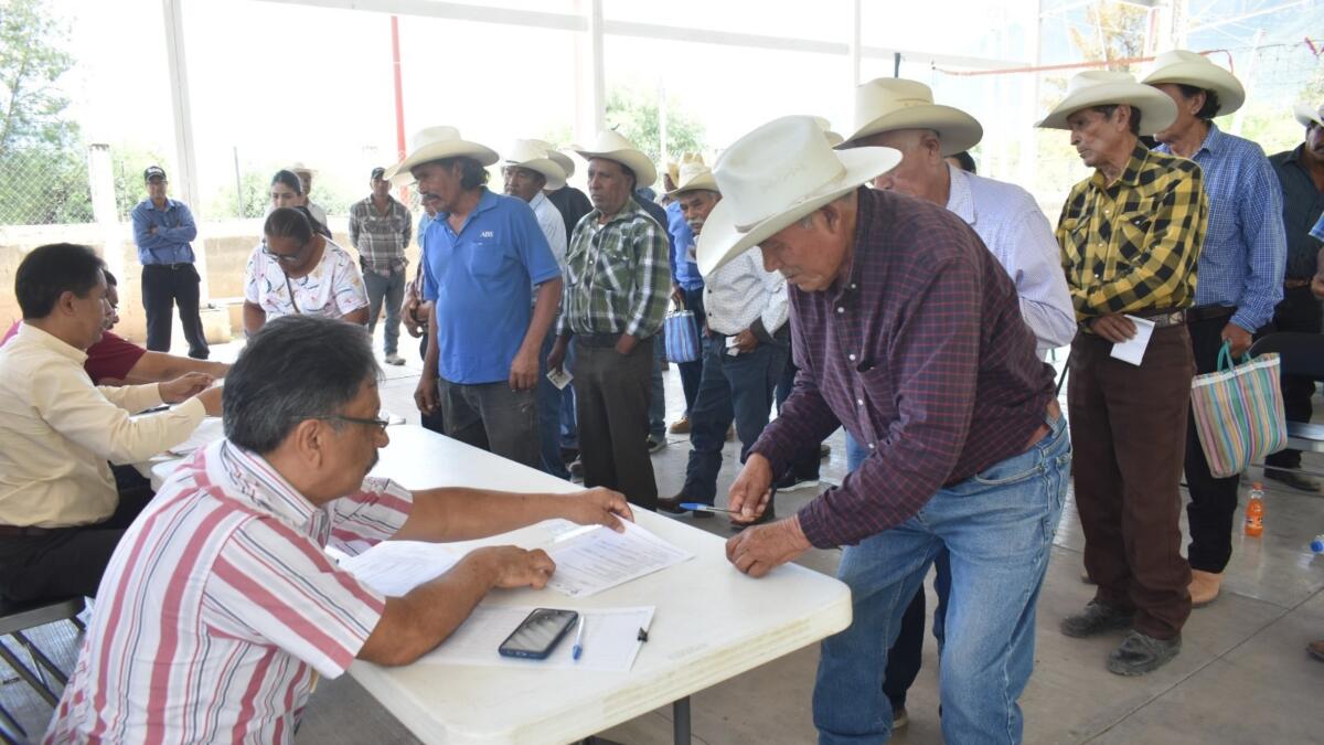 Abren ventanillas para Apoyo Estatal Extraordinario a productores agrícolas