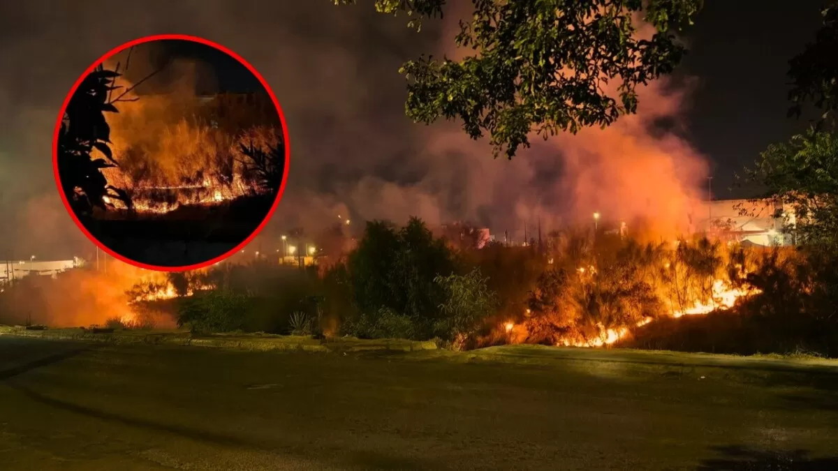 Se registran 48 incendios en NLD durante fin de año