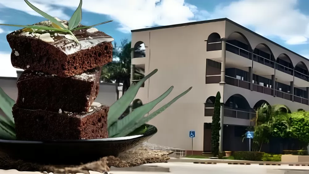 Alumna se intoxica con pastelito “mágico” en escuela de Tampico