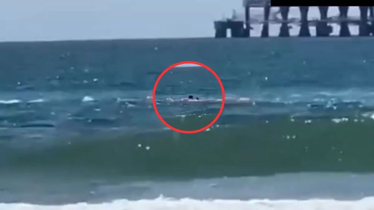 Muere hombre tras ataque de tiburón en playa de Israel