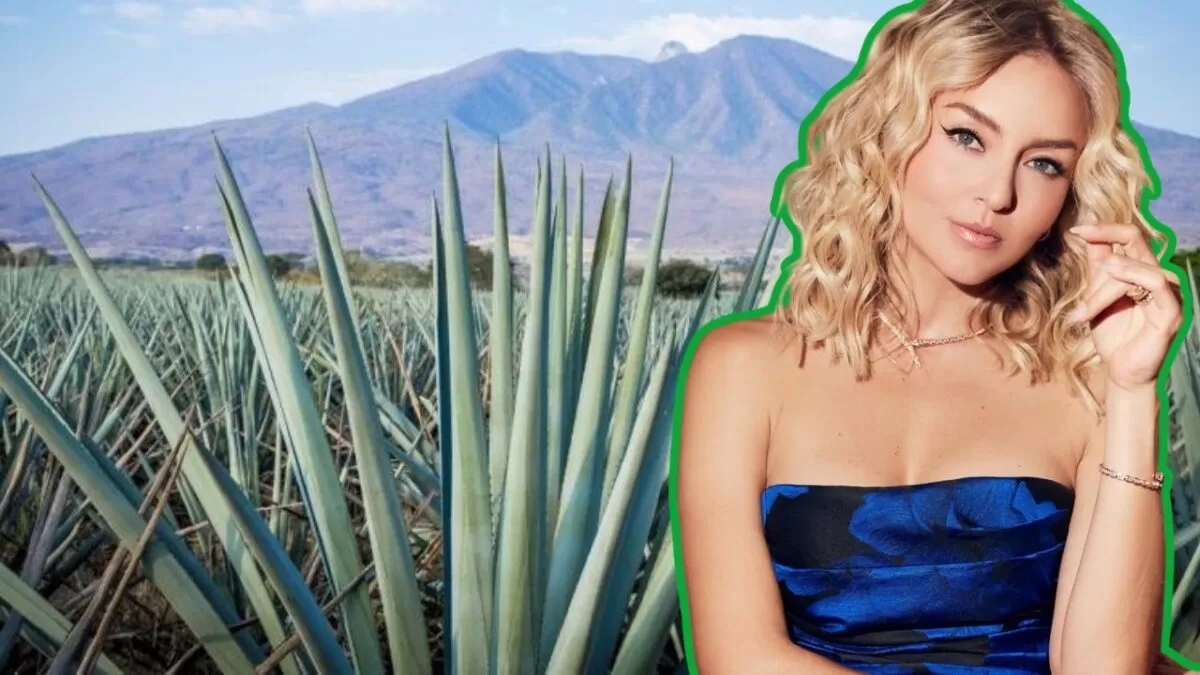 Preparan nueva versión de “La Dueña” con Angelique Boyer como protagonista