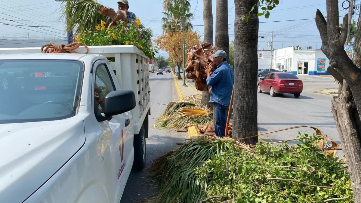 Fortalecen en Victoria limpia y mantenimiento de vialidades y áreas verdes