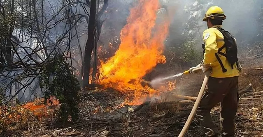 Incendio consume más de 700 hectáreas en Villa de Casas