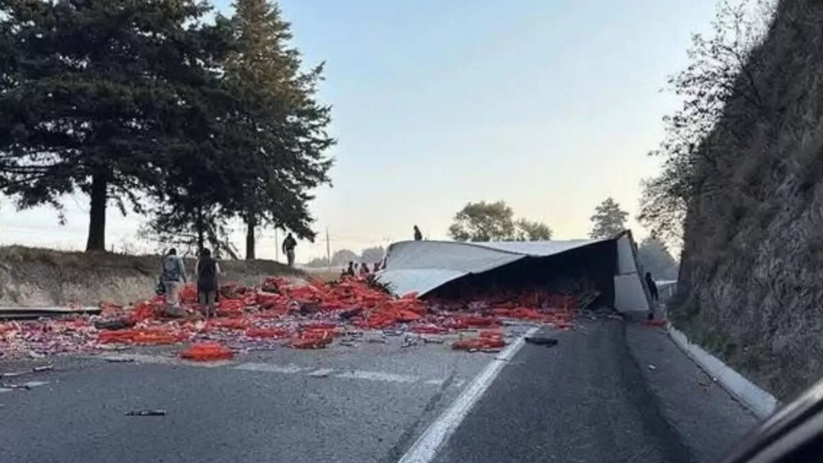 Tráiler con productos Bimbo vuelca y desata rapiña