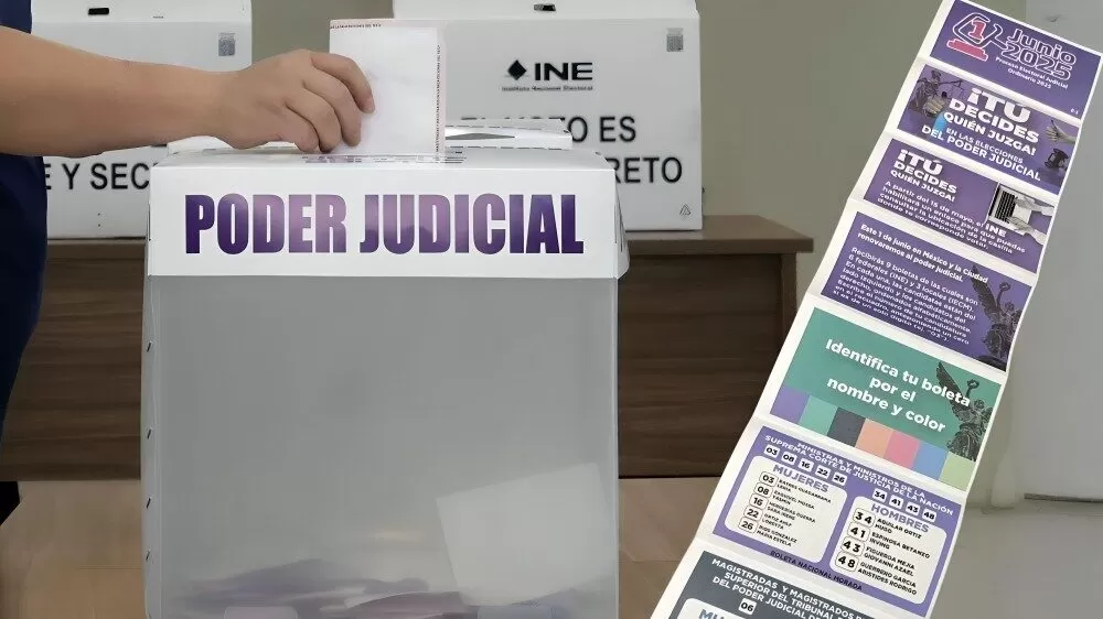 INE confirma: podrás llevar tu acordeón para votar