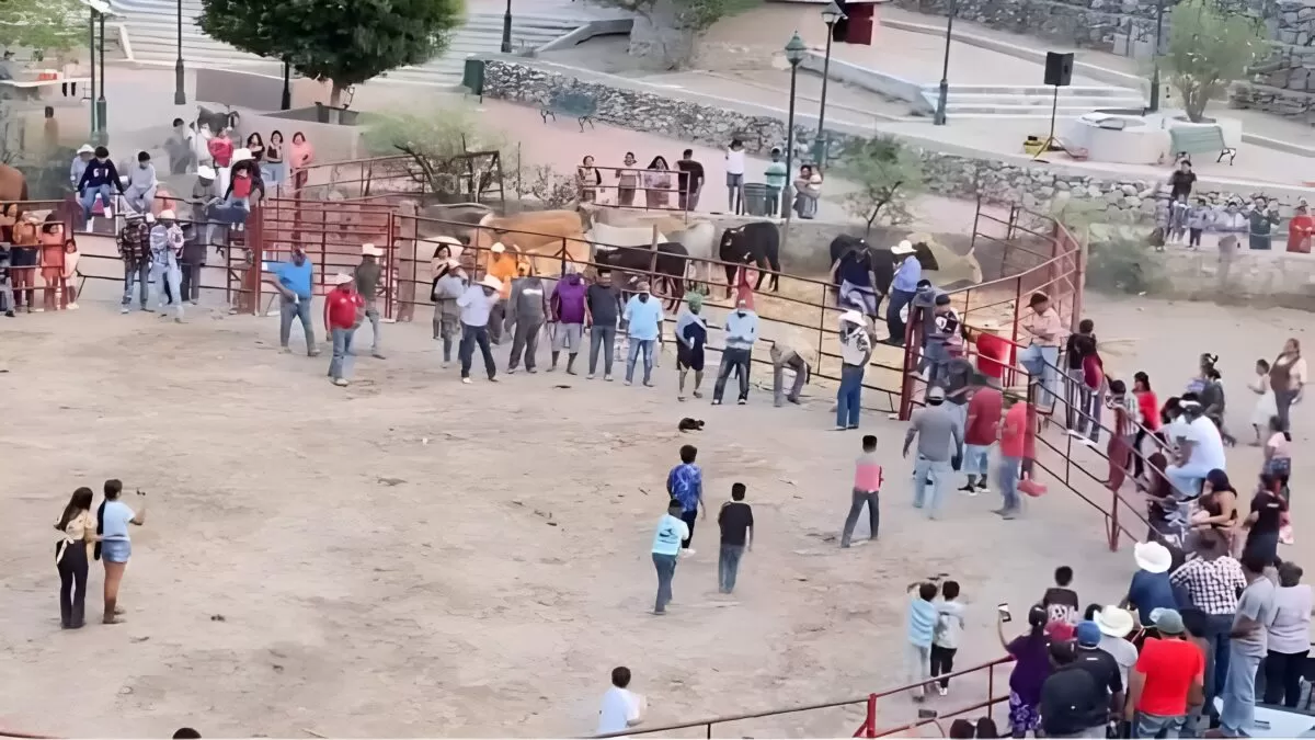 Atan cohetes a gatos en rodeo de Guanajuato