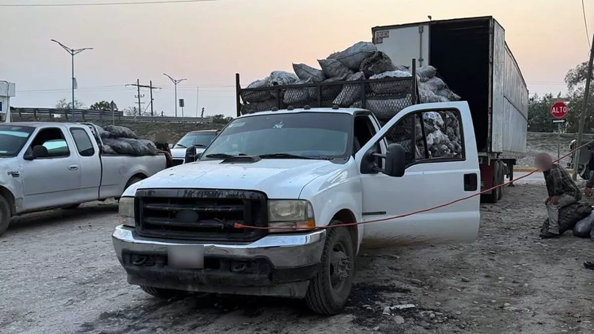 FGR asegura 14 toneladas de carbón vegetal en cateo realizado en Tamaulipas