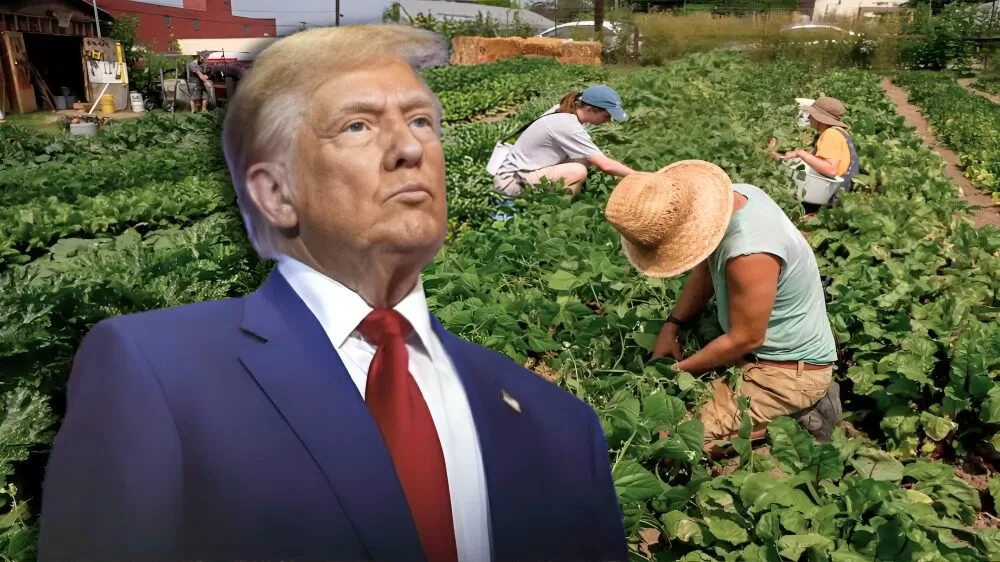 Trump aplaude que el Congreso aprobó quitarle remesas a paisanos