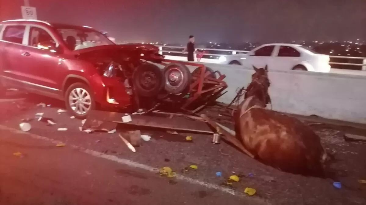 Puente Tampico: vehículo choca a carreta; un caballo y una pareja lesionada