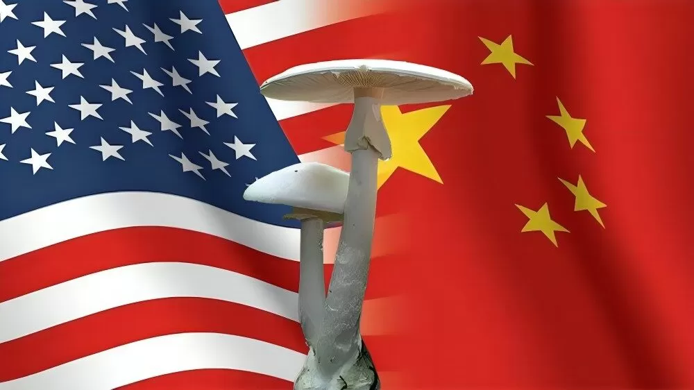 Autoridades de EU detienen a dos chinos por hongo peligroso