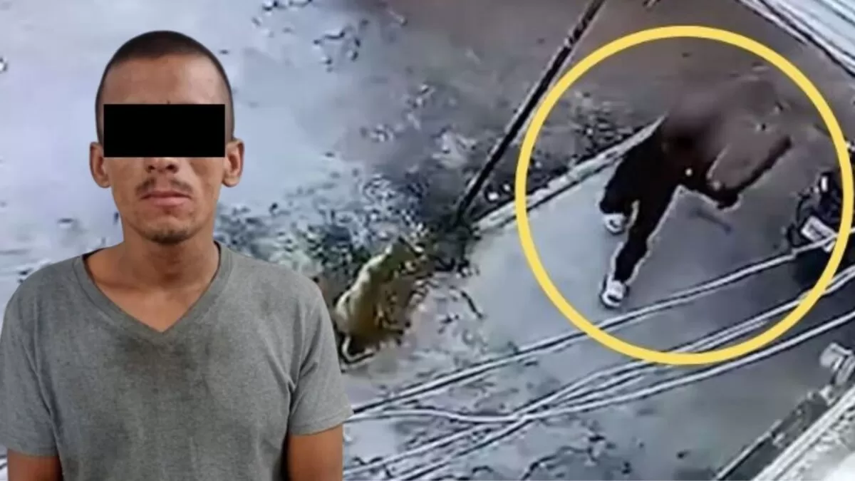 Detienen a hombre que mató a golpes al perro “Coqueto”