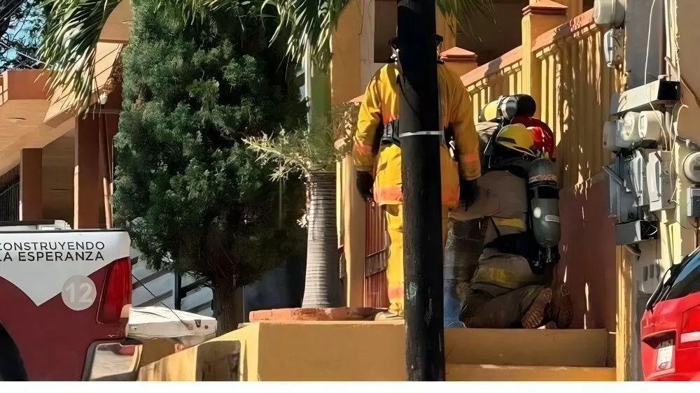 Ataque de abejas deja hospitalizados a dos bomberos en Altamira