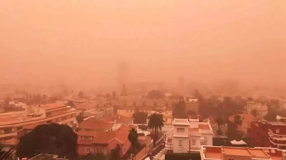 Polvo del Sahara llegará a Tamaulipas este fin de semana