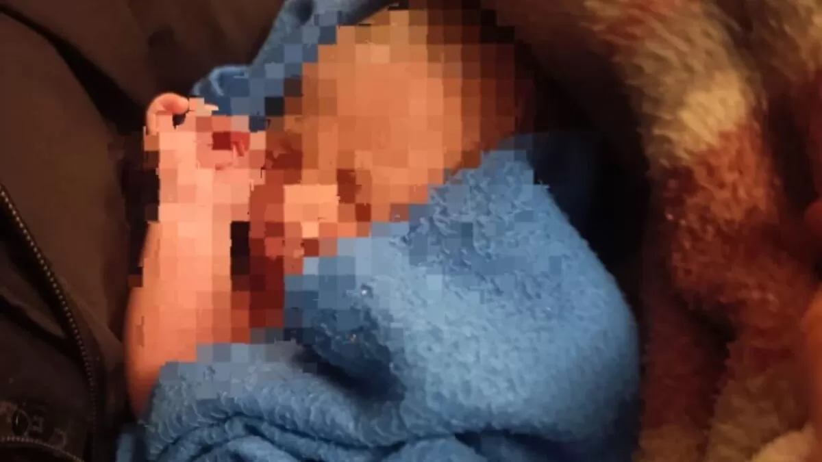 Bebé recién nacida sobrevive tras ser abandonada en arbustos