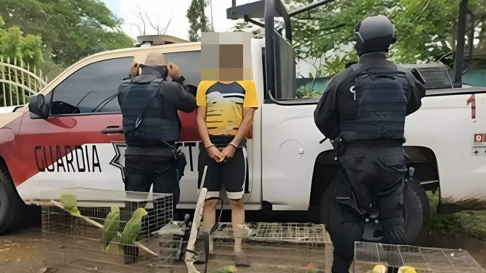 Detienen a hombre armado con aves silvestres en Tamaulipas