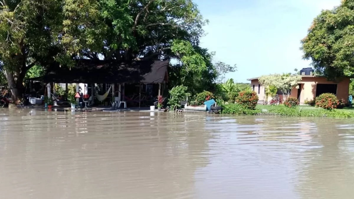 Casi 300 familias resultan afectadas por desbordamiento del río Tamesí