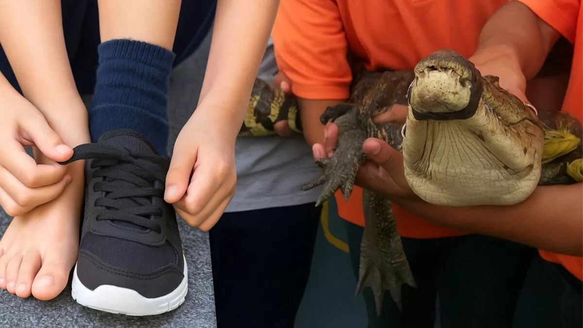 Niño de 10 años es mordido por cocodrilo en Ciudad Madero