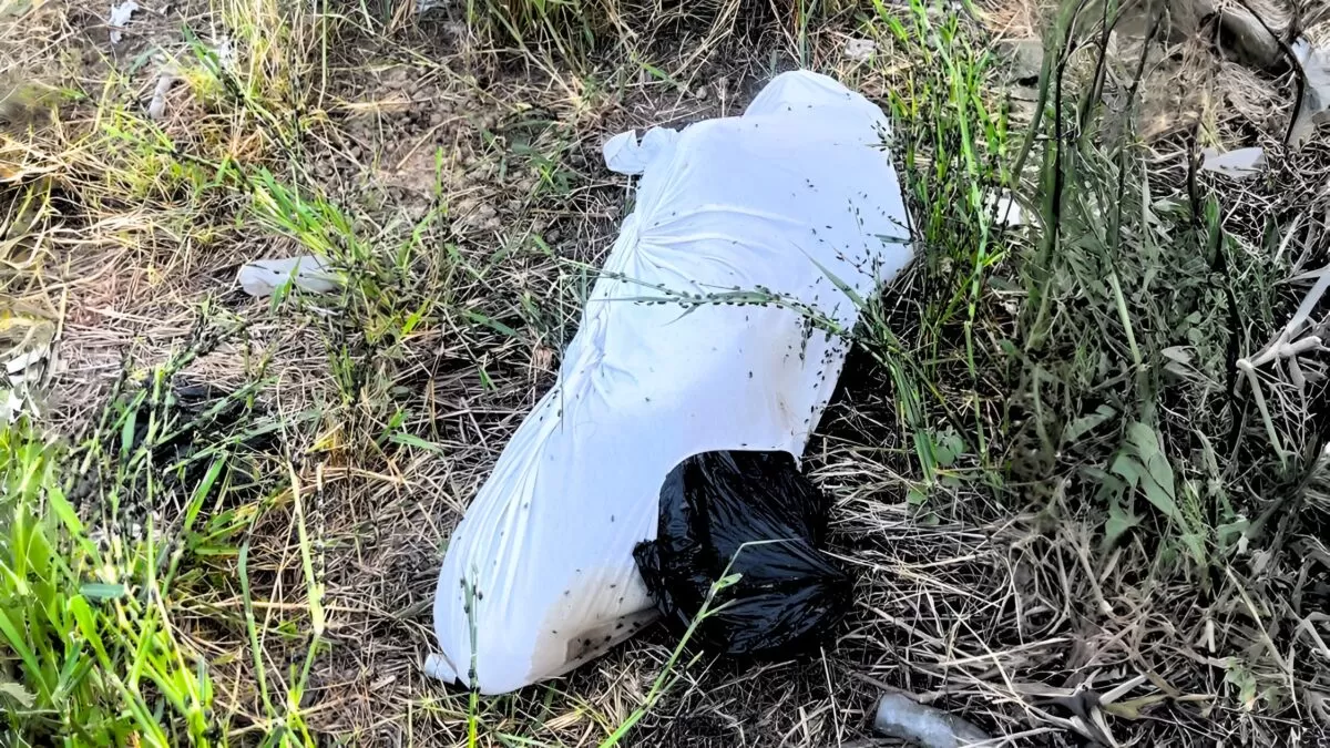 Vecinos reportan extraño bulto en el monte