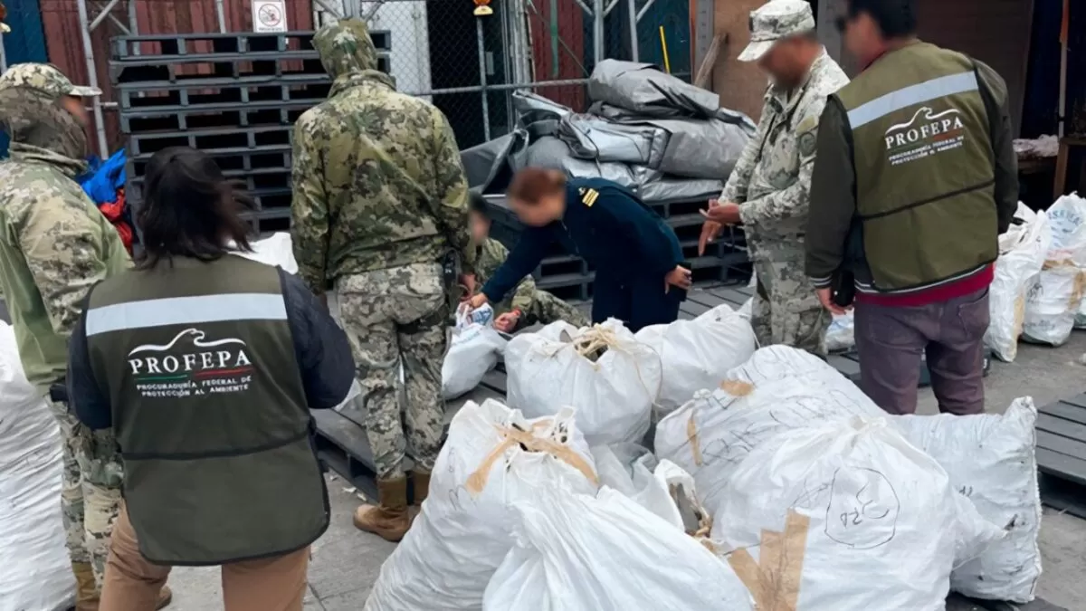 Aseguran más de 2 toneladas de aletas de tiburón