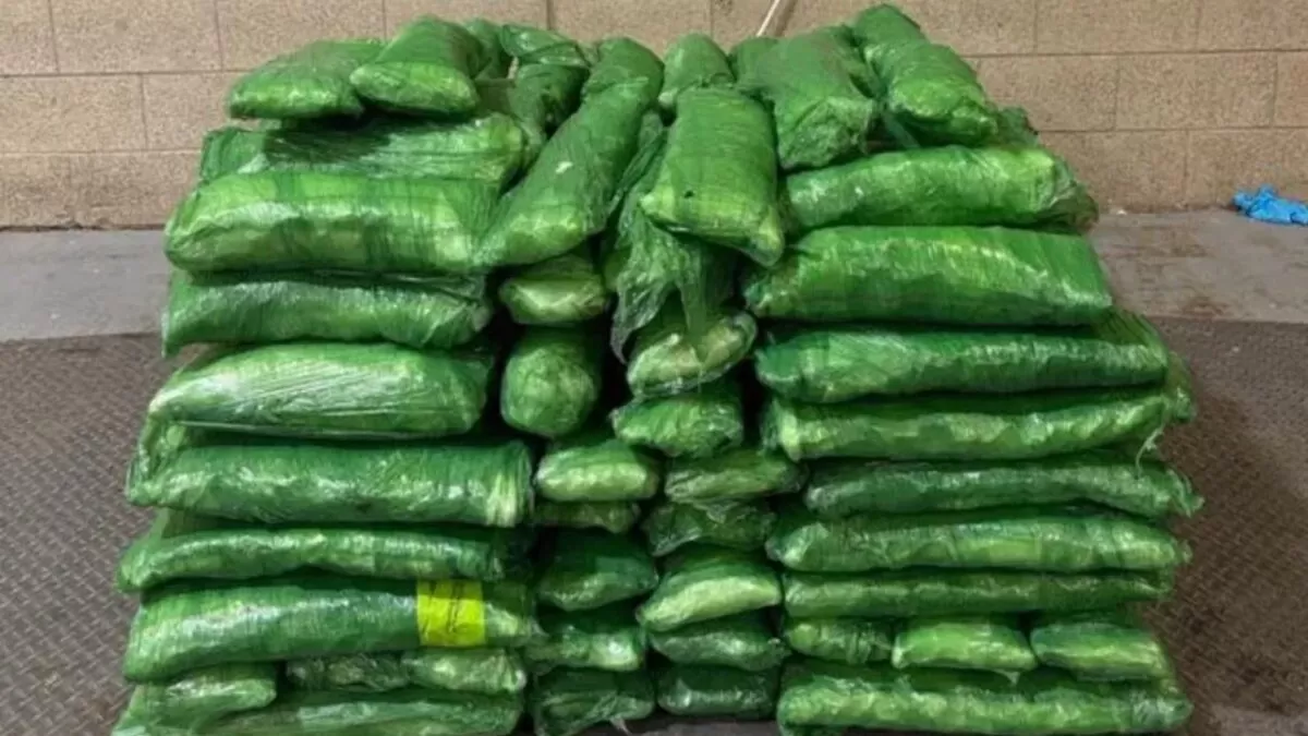 Incautan metanfetamina valuada en 6 millones de dólares en Reynosa