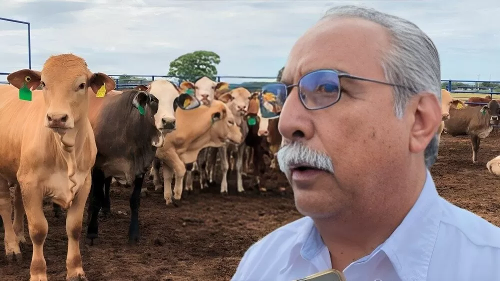 Reafirma Tamaulipas liderazgo en sanidad ganadera: libre de gusano barrenador