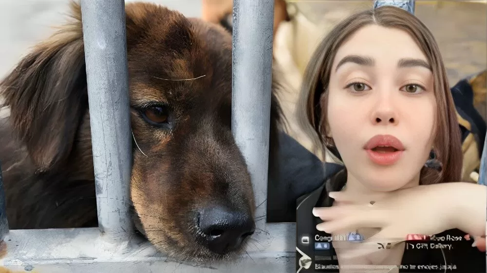 Funcionaria admite que sacrificó a un perro en ritual de santería