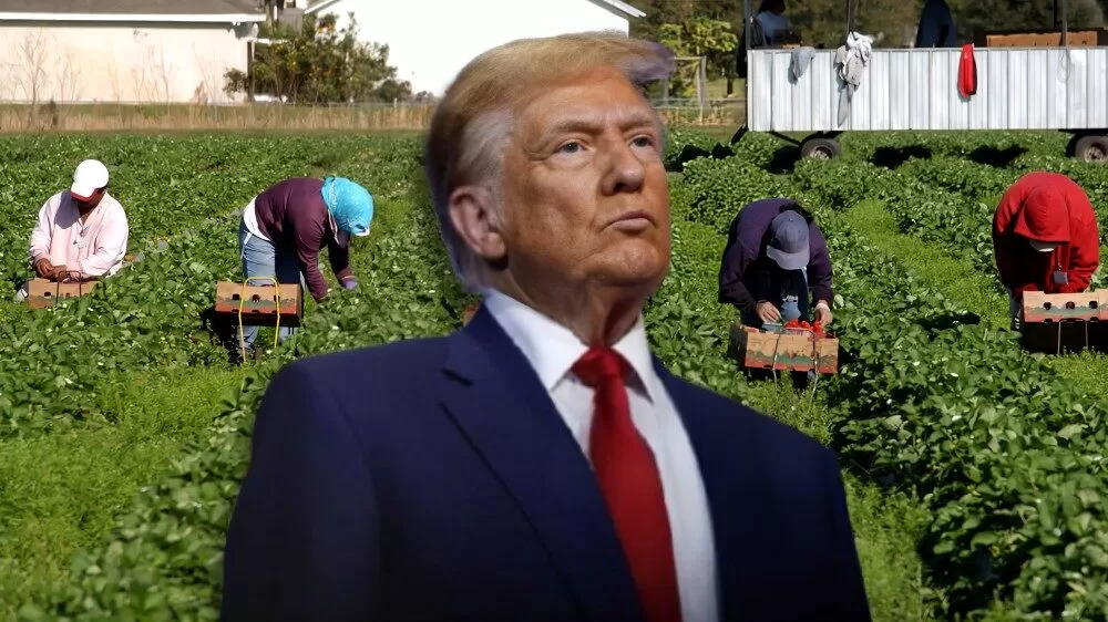 Trump admite que redadas han afectado a agricultores de EU
