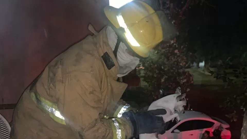 Rescatan a cuatro personas y dos perros durante incendio en Victoria
