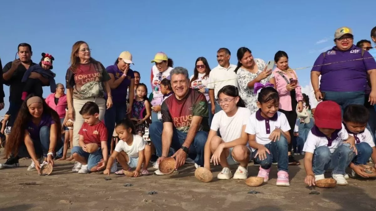 Liberan más de 400 crías de tortuga Lora en Playa Tesoro