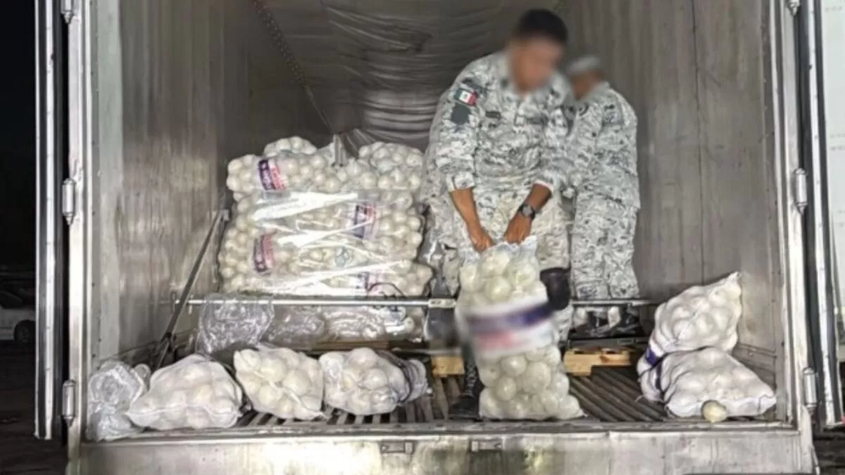 Aseguran en Tamaulipas tráiler con 260 kilos de metanfetamina ocultos en cebollas