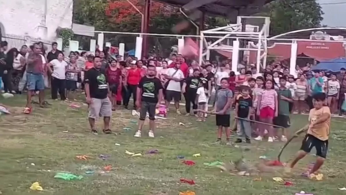 Llenan piñatas con animales silvestres y al caer los matan a golpes