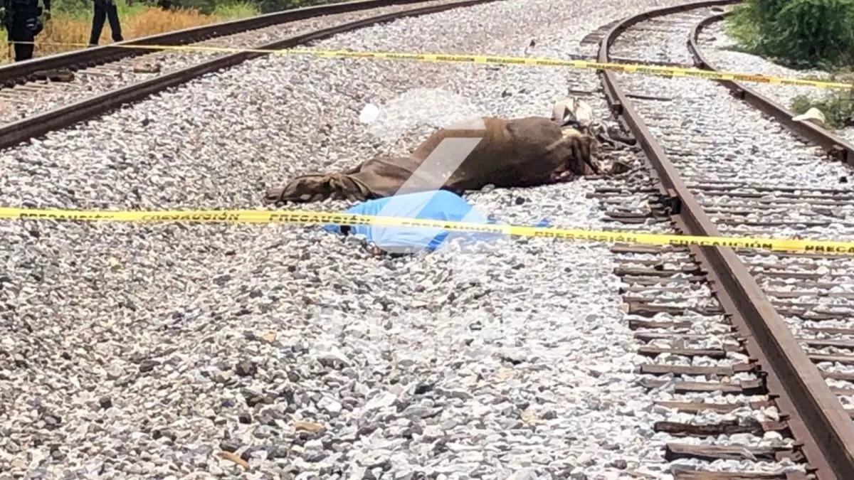 Mueren jinete y su caballo tras ser embestidos por tren en un ejido de Casas