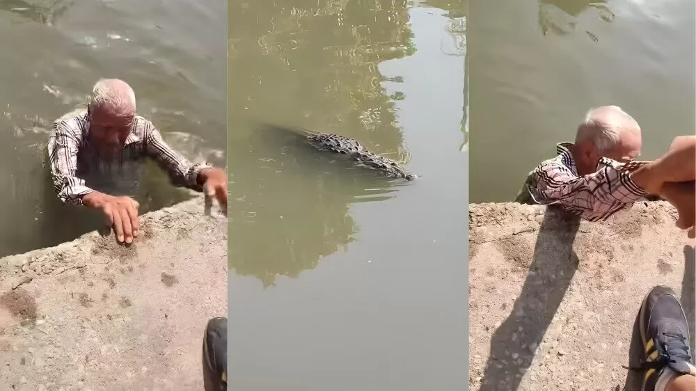 Youtuber rescata a adulto mayor de un cocodrilo en Tampico
