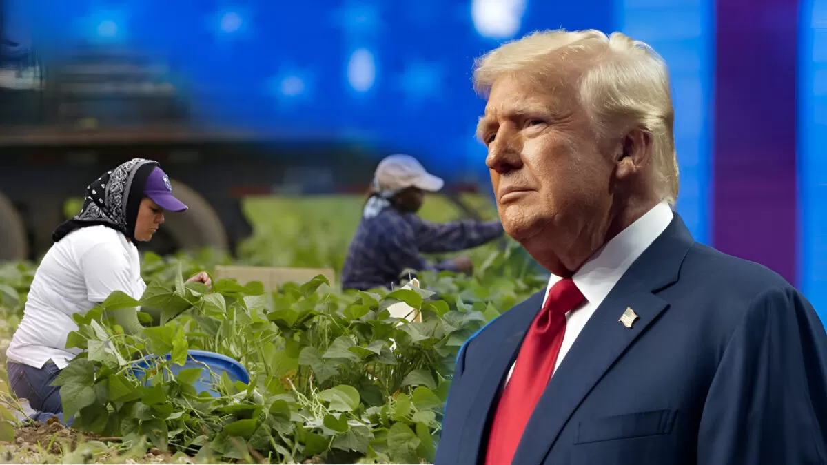 Trump admite que migrantes deportados son difíciles de reemplazar