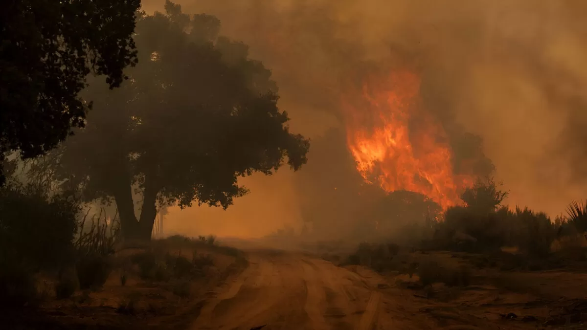 Cinco incendios movilizan a Bomberos en Nuevo Laredo