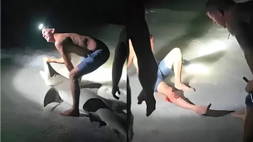 Tiburon ataca a pescador que quería tomarse una foto con él
