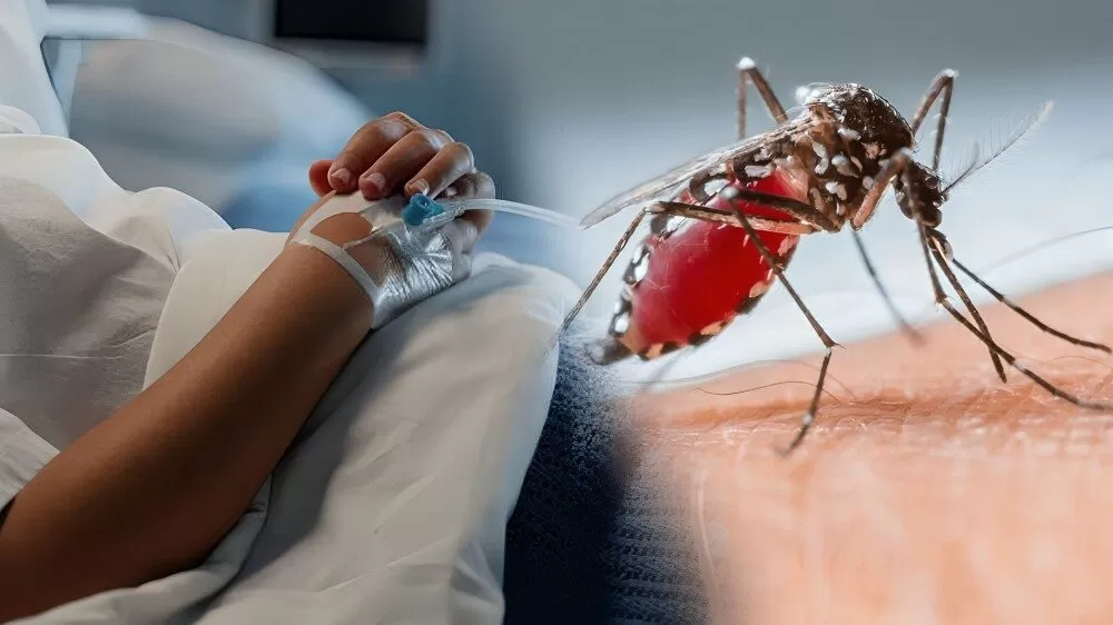 Registran 400 casos de dengue y una muerte en Tamaulipas