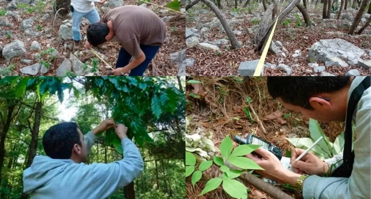 Busca la UAT conservar bosques de encino con tecnología geoespacial