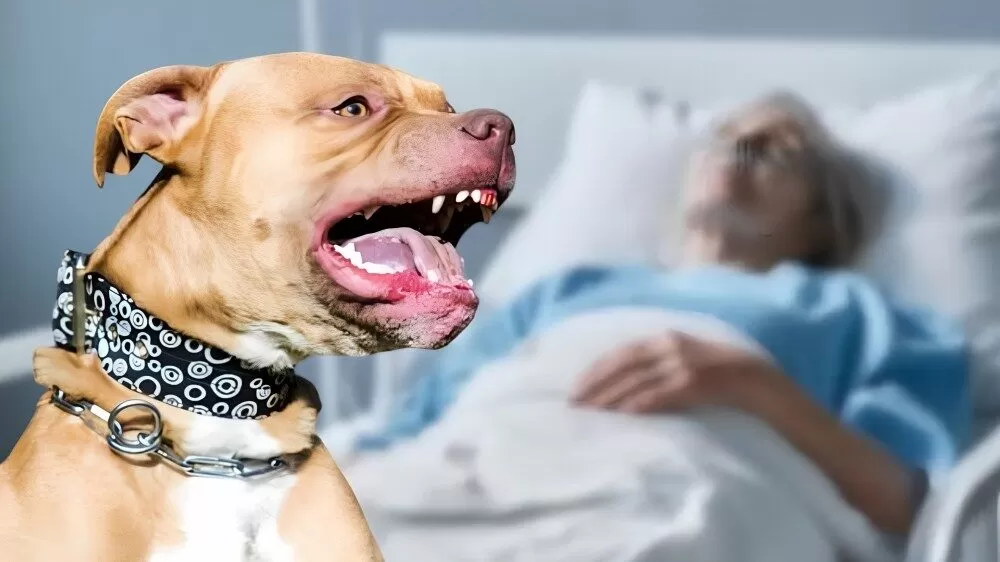 Adulta mayor pierde parte de su brazo tras ataque de pitbull