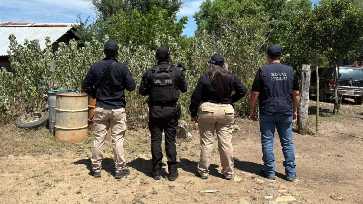 Autoridades rescatan a perra y cachorros en cateo en Hidalgo