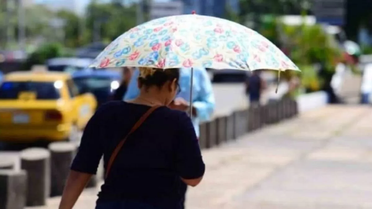 Clima caluroso en Tamaulipas; se esperan chubascos aislados