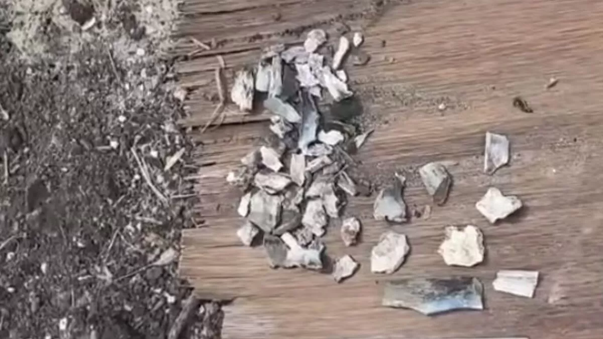 Localizan sitio de exterminio con restos humanos en Reynosa