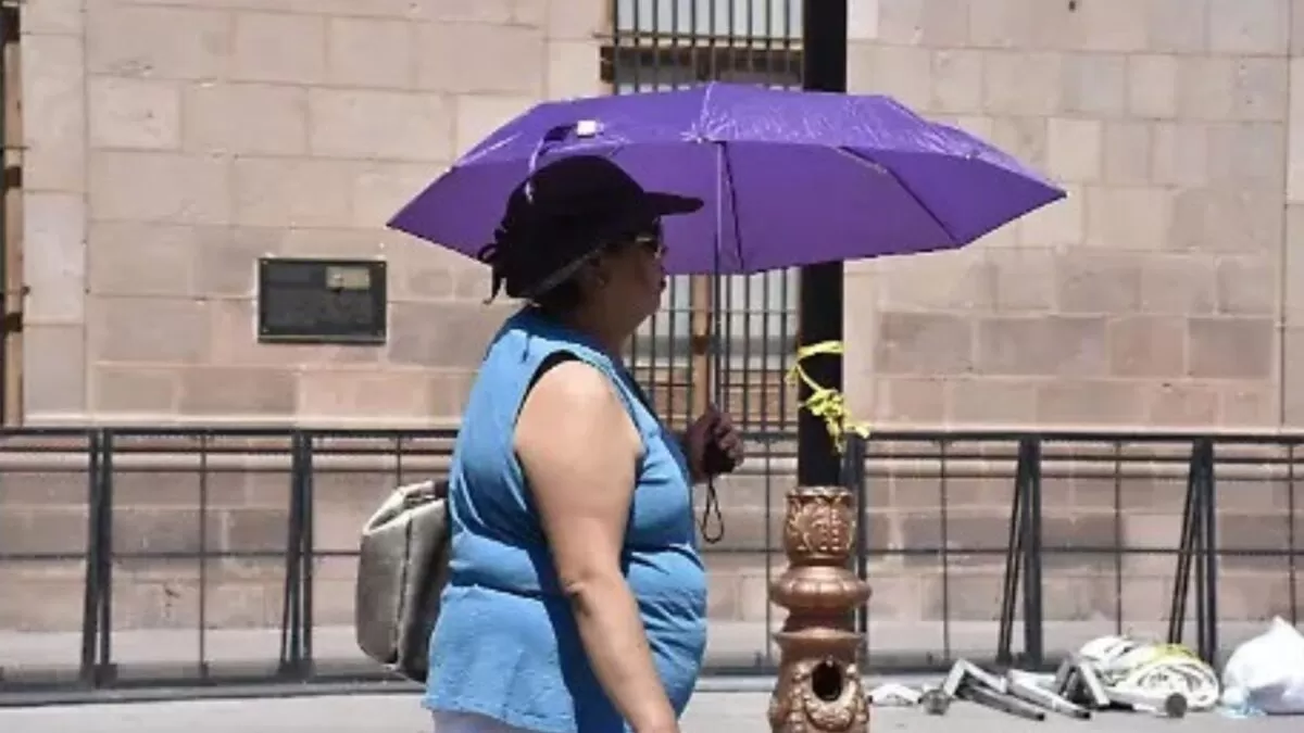 Pronostican clima agradable y lluvias aisladas en Tamaulipas