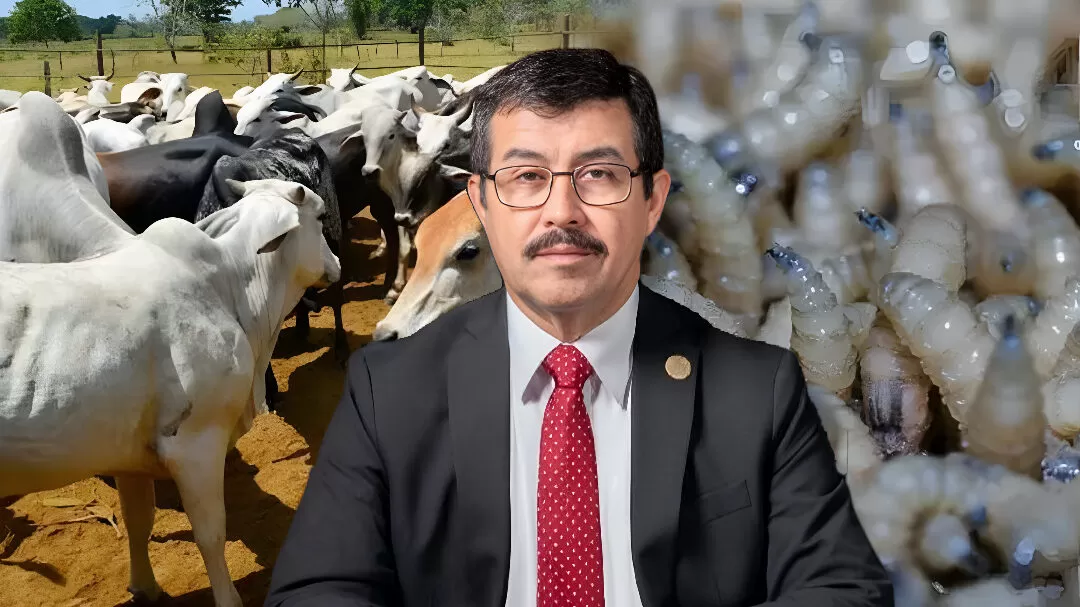 UAT genera opciones ante el cierre fronterizo y el reto sanitario por el gusano barrenador