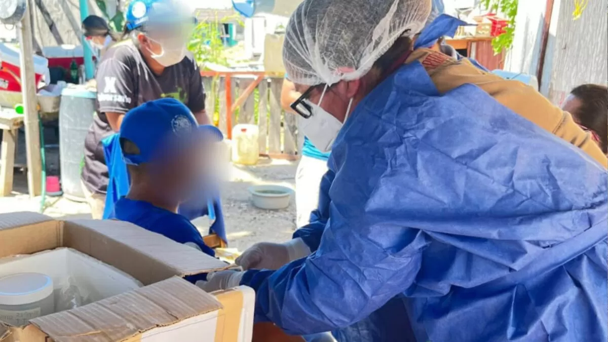 Voluntario bajo observación por posible contagio de influenza aviar en Matamoros
