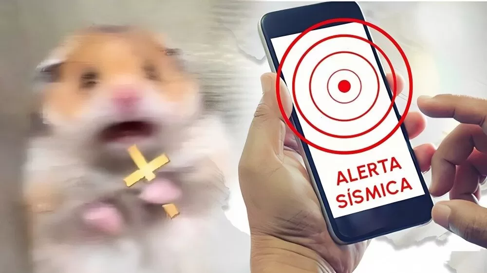 Memes inundan redes tras el Segundo Simulacro Nacional 2025