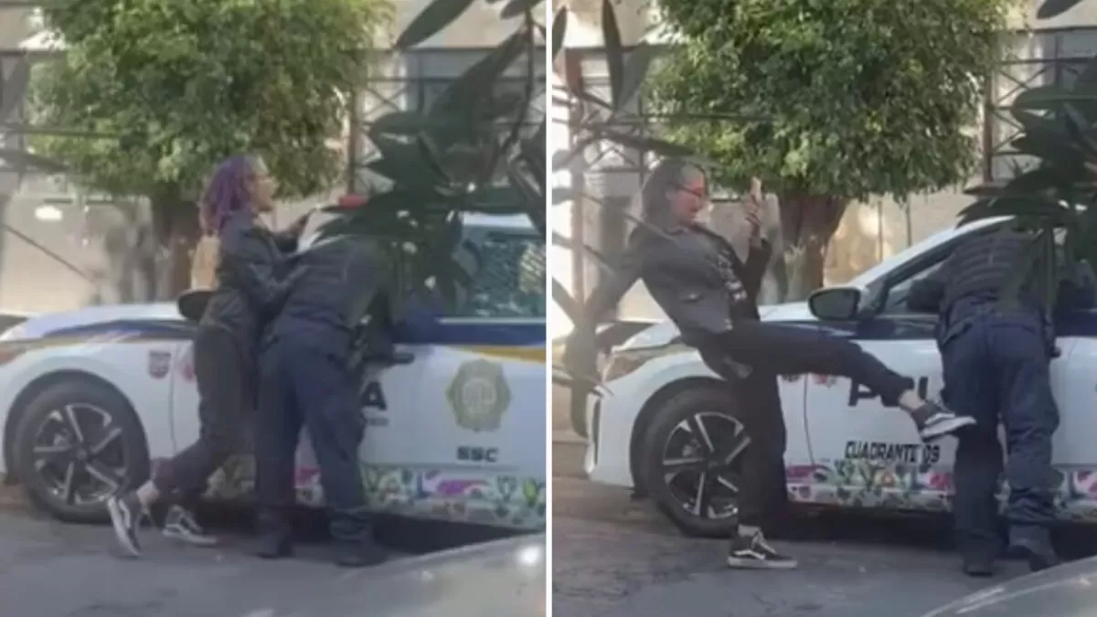 “Lady Patadas” patea a policía por resistirse al arresto