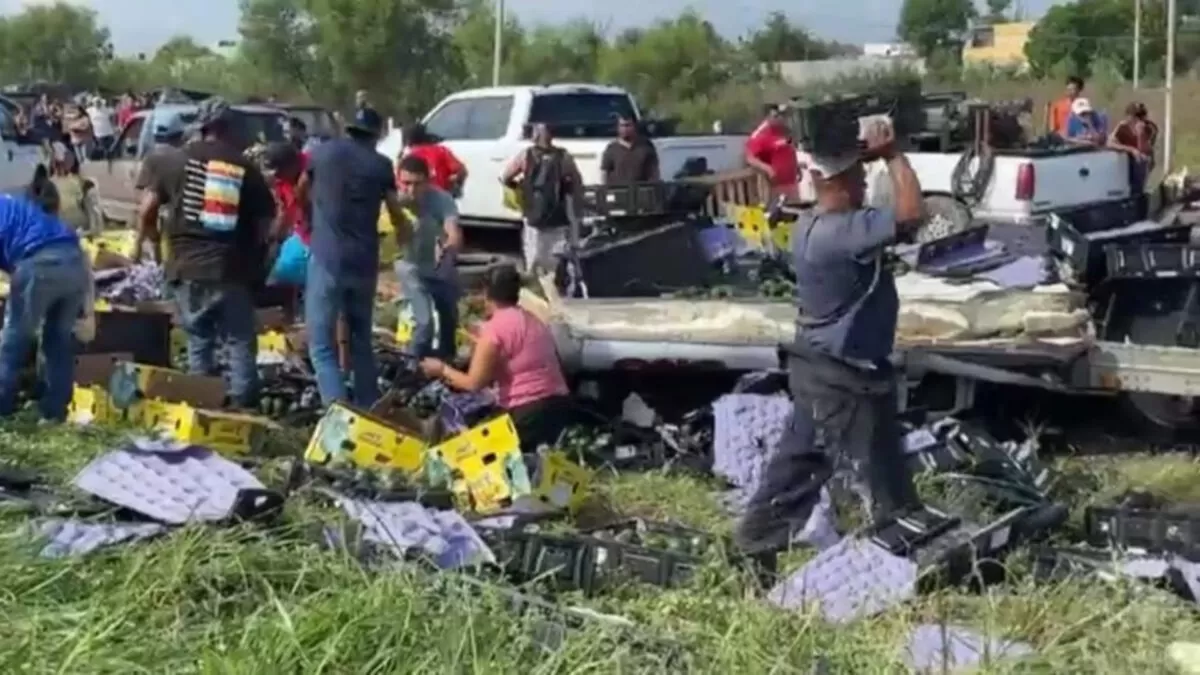 Volcadura de tráiler en Reynosa provoca rapiña por aguacates