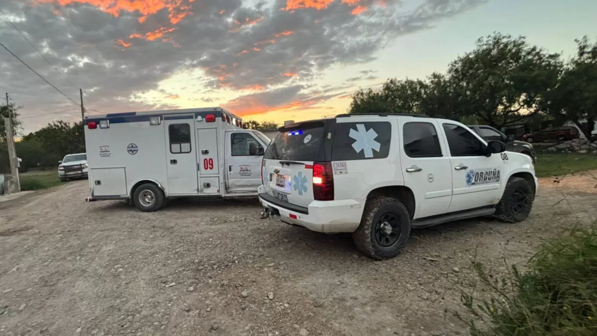 Enjambre de abejas ataca a niños y adultos en casa hogar de Matamoros