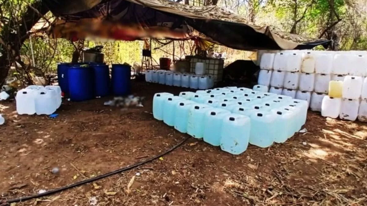 Aseguran drogas y sustancias químicas valuadas en 756 mdp